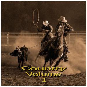 Picture for song 'Country 011 Purl Slow Lap Steel Blues with solo' by artist 'Raven Productions'