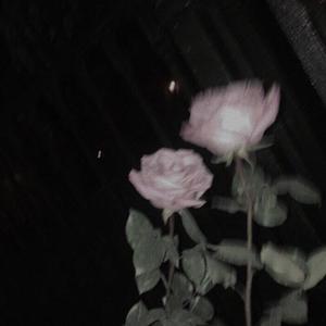 Picture for song '[FREE] XXXTentacion Type Beat - "Past Hurts"' by artist 'Aint Saint'