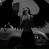 Picture for song 'AlixInstr Prod. - Tripplin'' by artist 'AlixInstr Productions.'