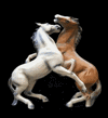 Picture for song 'RIDE THE LIGHTNIN'' by artist 'Big Small Town Music'