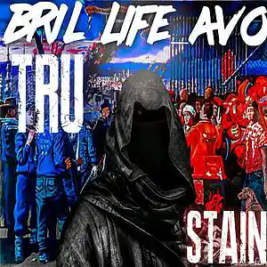 Picture for song 'TRU STAIN' by artist 'BriL-LifeAvo'