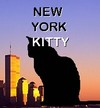 Picture for song 'New York Kitty' by artist 'Cam7Song'
