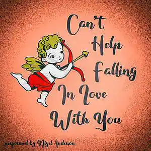 Picture for song 'Can't Help Falling in Love' by artist 'Cocoband'