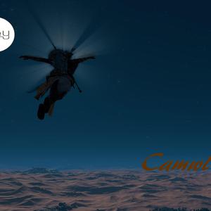 Picture for song 'Camwl' by artist 'Day-One UK'