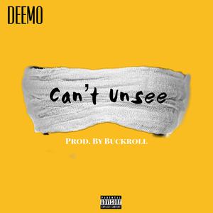 Picture for song 'Can't Unsee' by artist 'DeemoHYH'