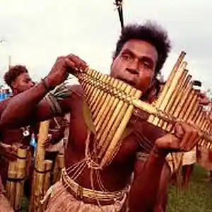 Picture for song 'The Panflute Song' by artist 'DON P'