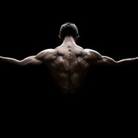 Picture for song 'Back' by artist 'FifthBeat'