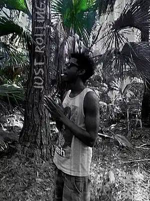 cover pic