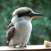 Picture for song 'Dystopia 7 - Oblivion' by artist 'Jammer59'