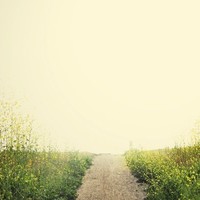 Picture for song 'Het Pad van Ontwaking' by artist 'Jammer59'