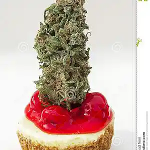 Picture for song 'BLUE BERRY CHEESECAKE + CHEESE CAKE (BUY ONE, GET ' by artist 'Jay Coda Productions'