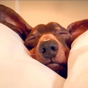 Picture for song 'Sleeping By Myself' by artist 'Kevin Scott Dunn'