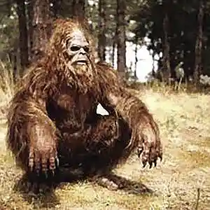 Picture for song 'Boggy Bottom Bigfoot Perley Curtis Nashv' by artist 'Lonnie Ratliff'