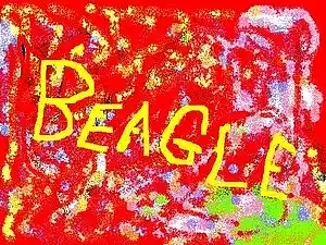cover pic
