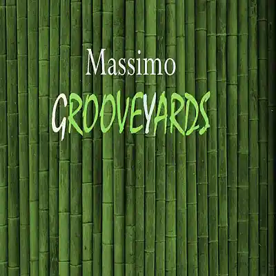 Picture for song 'Temporary Reality' by artist 'Massimo (US)'