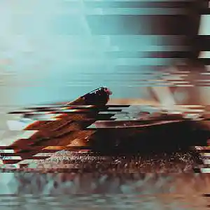 Picture for song 'Worth IT - Isaiah Rashad x Mick Jenkins Type Beat' by artist 'Melloh Sound'