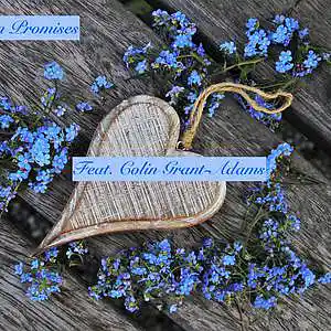 Picture for song 'Broken Promises (feat. Colin Grant-Adams)' by artist 'Round The Globe'