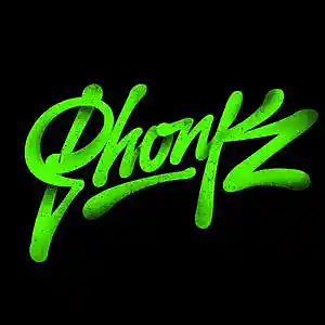 Picture for song 'FONK' by artist 'SADYKOV'