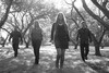 Picture for song 'The Eel in the Jacket' by artist 'SUAS'
