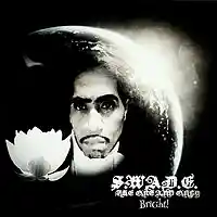Picture for song 'BRIGHT!' by artist 'S.W.A.D.E. (THE ONE AND ONLY)'