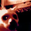 Picture for song 'Return Of The Dark' by artist 'The Alien Sick Bastards'