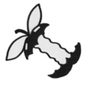 Picture for song 'The Beautiful Polar Bear' by artist 'tichphillips'