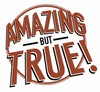 Picture for song 'true' by artist 'Toxic Beats'