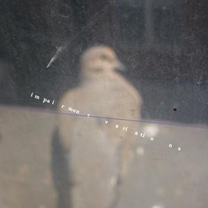 Picture for song 'impairment variation iii' by artist 'Yamaoka Yasuhiro'