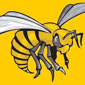 Picture for song 'Killa Beez' by artist 'Zordag'