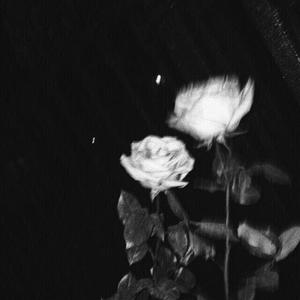 Picture for song 'Gatsby' by artist 'Anxiety Society'