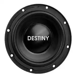 Picture for song 'Your Destiny Is Bass' by artist 'BASSOTRONICS'