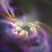 Picture for song '3.fall in love' by artist 'BGN'