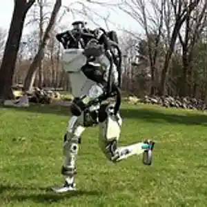 Picture for song 'the robots' by artist 'Cecil Vittar'