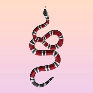 Picture for song '"LUXURY SOUTH" LIL BABY x GUNNA x DABABY TYPE BEAT' by artist 'CH3ZATIPBTZ'