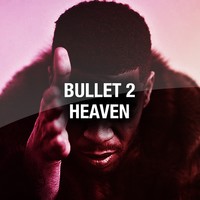 Picture for song 'BULLET 2 HEAVEN' by artist 'FlashBeats.net'