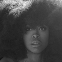 Picture for song 'nothin new new' by artist 'Kendall P Beatz'