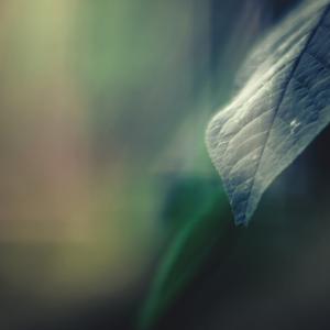 Picture for song '15. Backtalk (Chill Background Beat)' by artist 'Lil C. Rap Therapist'