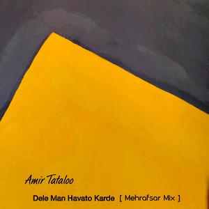 Picture for song 'Tataloo - Dele Man Havato Karde (Mehrafsar Mix)' by artist 'Mehrafsar'