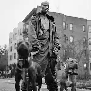 Picture for song 'glock in my sock' by artist 'melomuzik'