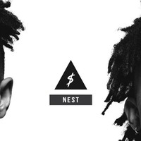 Picture for song 'Nest' by artist 'oYoungVisionary'