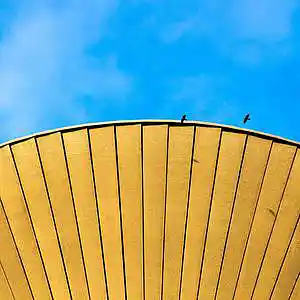 Picture for song 'Stay' by artist 'P.R Beats'