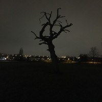 Picture for song 'Insomniac' by artist 'Rasam'