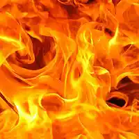 Picture for song 'Dead Flowers' by artist 'RezzzRevenge'