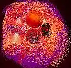 Picture for song 'Marmalade' by artist 'RusOMuzik'