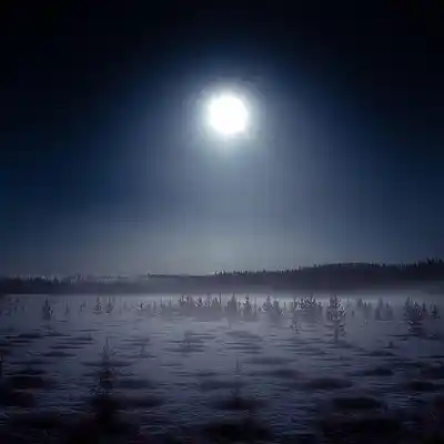 Picture for song 'cold night' by artist 'S7h music'