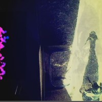 Picture for song 'Goat Shadows' by artist 'The Song Whisperer'