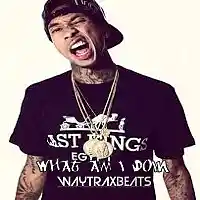 Picture for song 'WHAT AM I DOING - l Tyga l' by artist 'WAYTRAX BEATS'