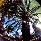 Picture for song 'Sun roll ride **RIDER** (98)' by artist 'Westcoast Style Music'