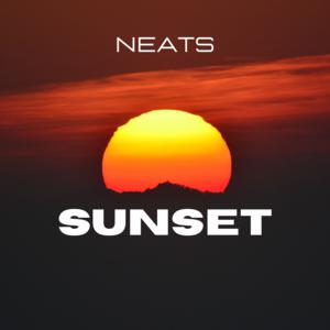 Picture for song 'Sunset Gunna Type Beat' by artist 'zeroneats'