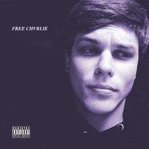 Picture for song 'BLURRY' by artist 'CHVRLIE MIKE'